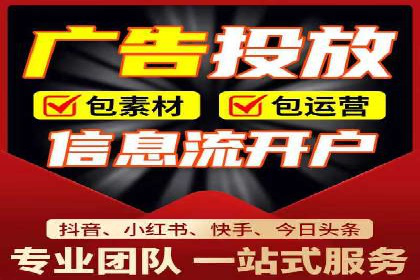 成功案例解析：SEO与SEM协同营销策略